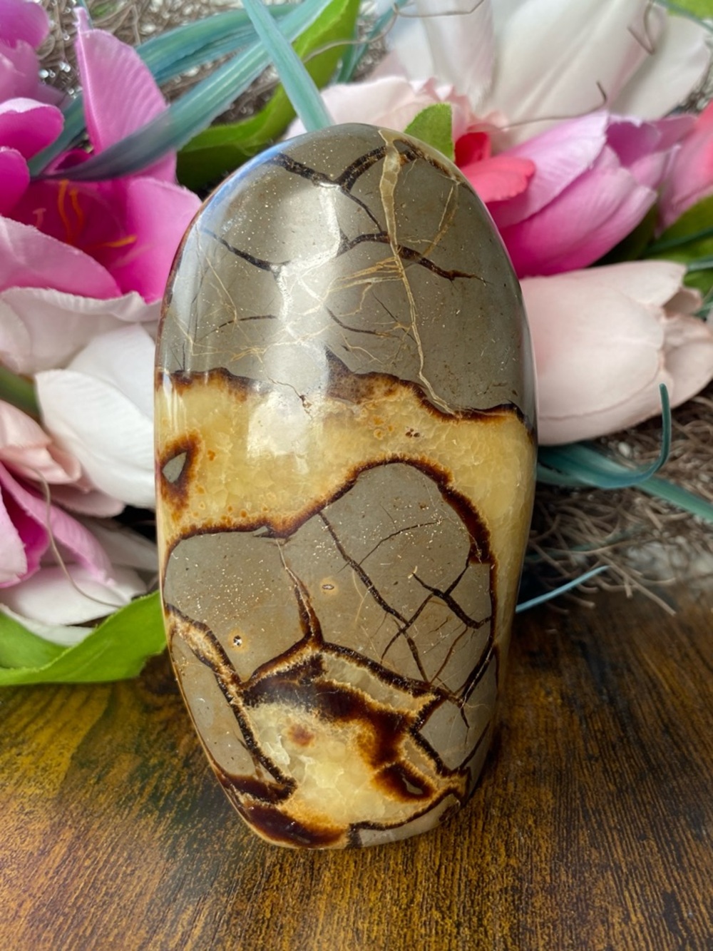 Septarian Freeform - Picture 2 of 12